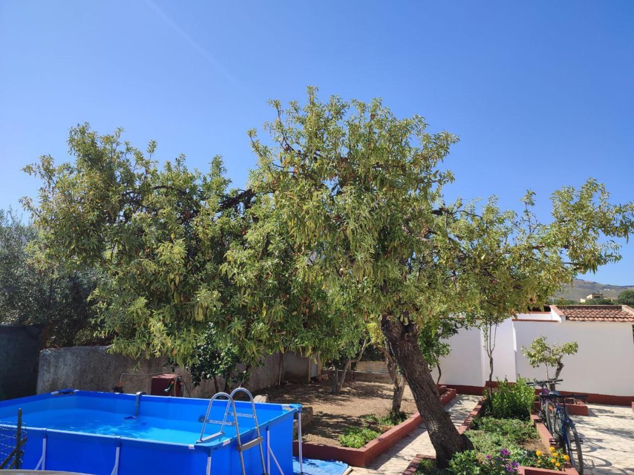 Apartamento GuidalBarone 3 Castellammare del Golfo Exterior foto